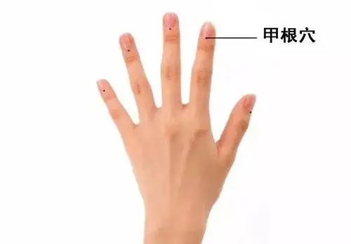 提神 掐甲根穴