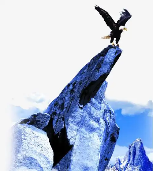 山崖上的雄鹰展翅