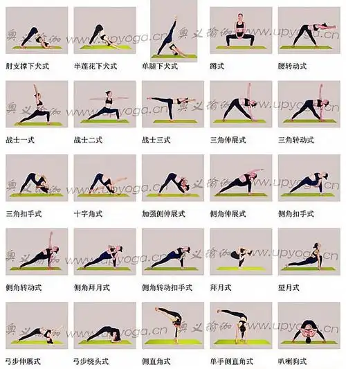 【转载】瑜伽体位招式大全