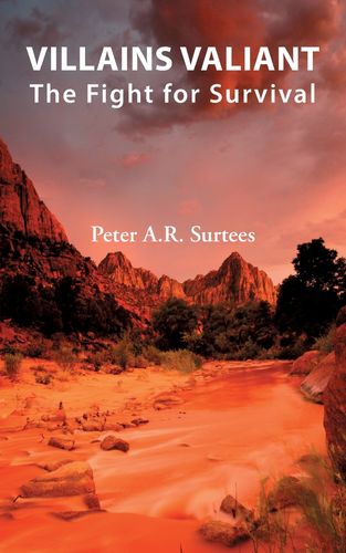 预售 按需印刷  villains valiant