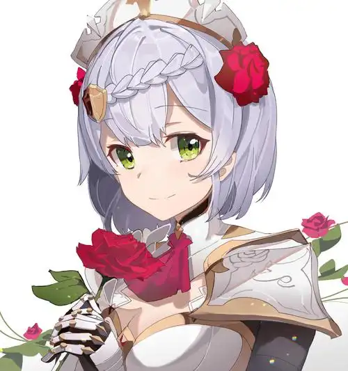 原神美图诺艾尔2