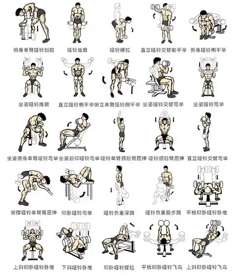 恋伽新款磅制可调哑铃adjustabledumbbell家用女士健身器材