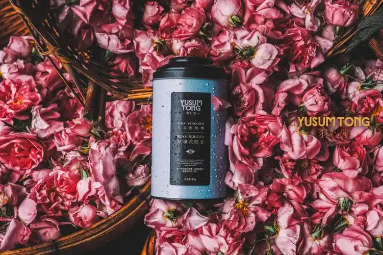 vol2凡多姆玫瑰75