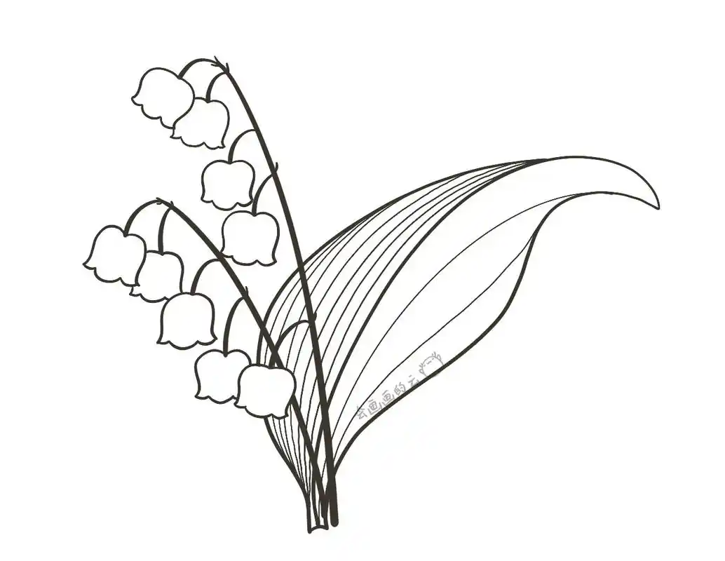 零基础也可以学的简笔画,手把手教你画铃兰花,你学会了吗?