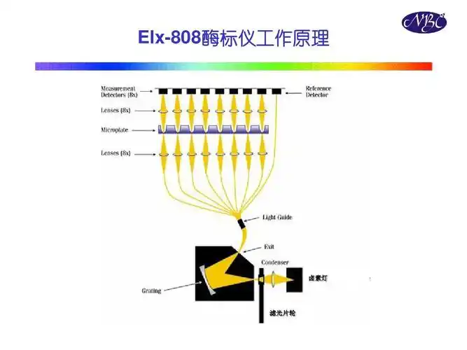 光谱检测技术在生命科学中的应用 elx-808酶标仪工作原理 卤素灯 滤光