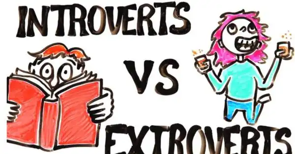 外向的用英语怎么说读 ,性格特点有哪些图3