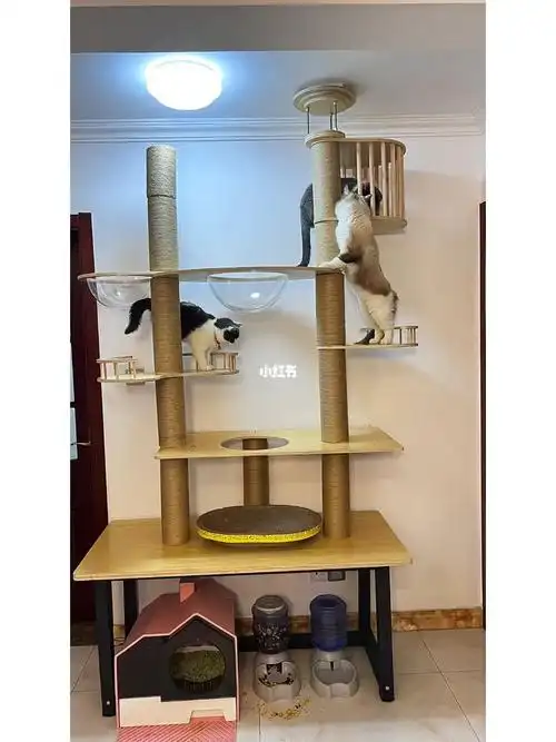 一千块搞定实木猫爬架!