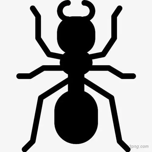 卡通手绘黑色蚂蚁png素材透明免抠图片-其他元素