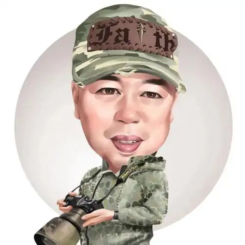 70后专用胖大叔漫画头像(40岁成熟大叔的漫画头像)(5)