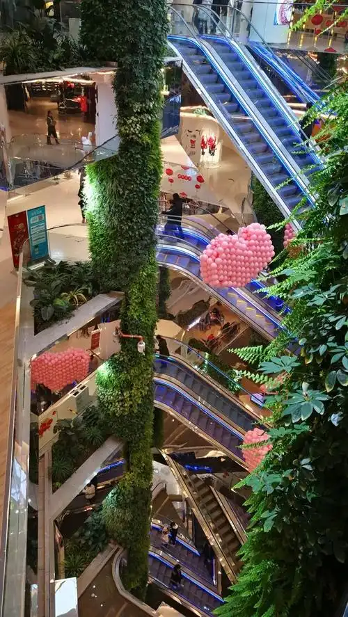 西安吉祥村momo park觅食