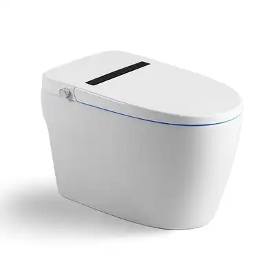 家用德国贝朗精灵马桶c29001w13一体智能坐便器