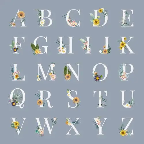 图片 创意cg 英文字母经典典雅的花卉字母字体字母b透明png图片id