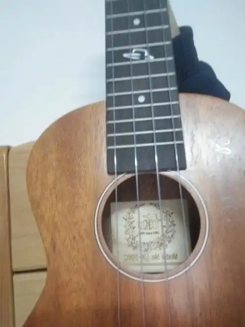 心爱的尤克里里呀