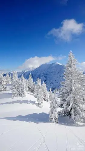 手机封面选篇欣赏——冬