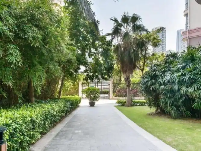 看房约我急租南山蛇口南海玫瑰园二期无遮挡海景