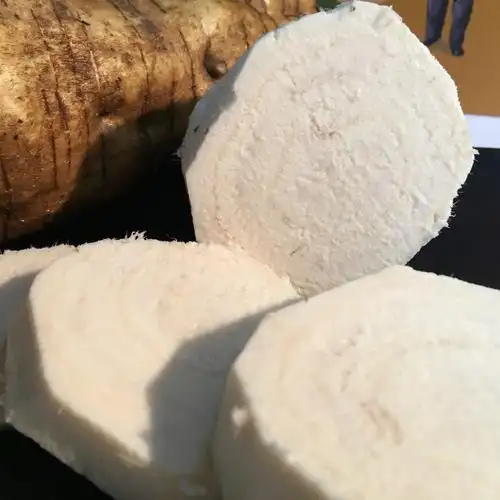 云南高山新鲜粉葛无渣柴粉糯葛根蔬菜煲汤汤生其它