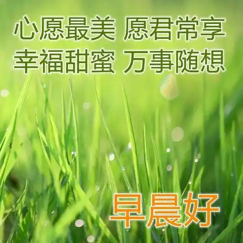原创8张春天最新漂亮风景早安图片带字带祝福语最美春日风景早上好
