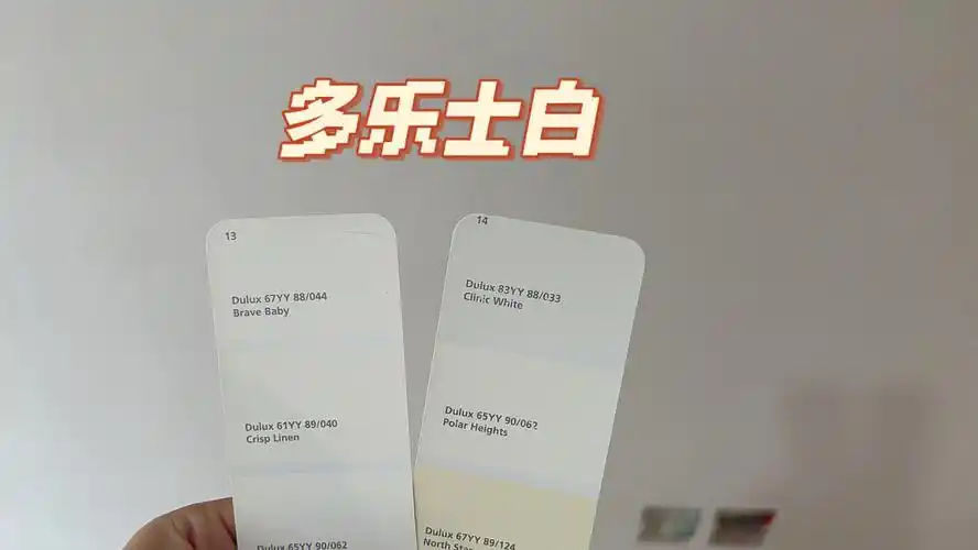 但又不想那种纯白网上功课都做了一遍,然后在多乐士厚厚的一本色卡里