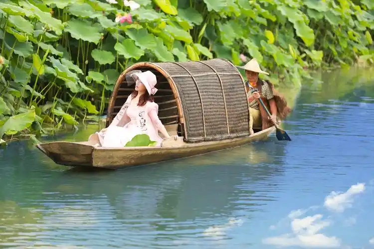 荷塘【最美的遇见】影诗·原创