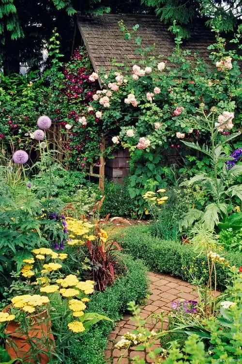 打造有格调的庭院花园老花匠常养6种花开花性好高级感满满