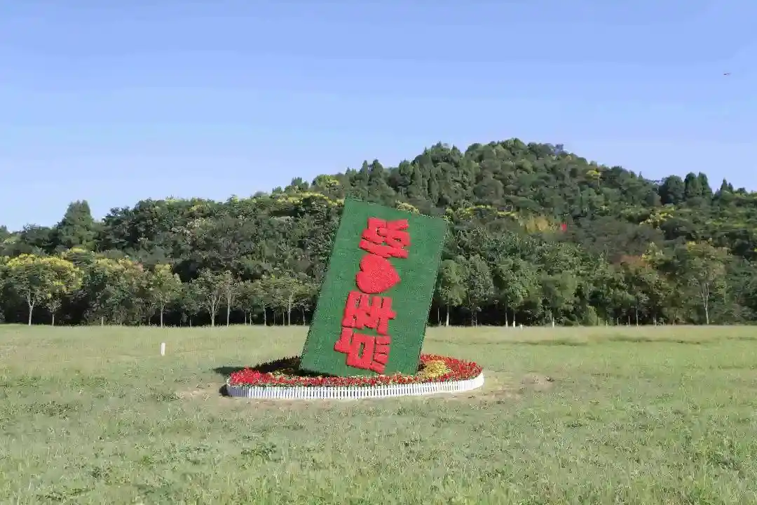 点军区学党史走深走实创典范见行见效