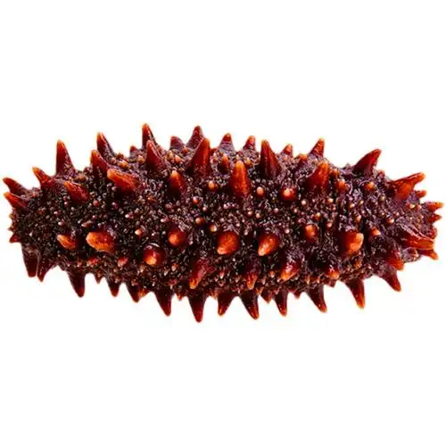 海参俄罗斯刺参六排910年淡干深海大红20头进口海参