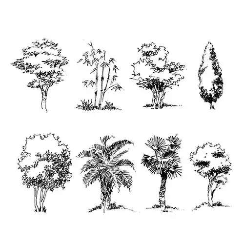 谭伯虎说画教您钢笔画如何画树木