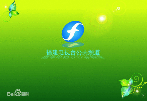 词条图片 3/6福建电视台公共频道信息图片尺寸1024x709