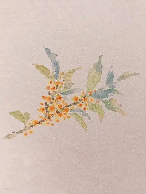 水彩桂花新学到一种画法06