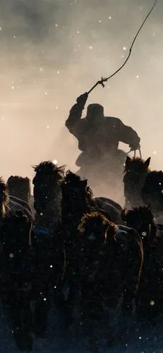 蒙古,冬天奔马,雪 4k