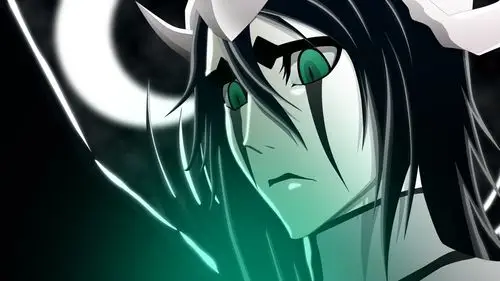 死神 黑崎一护&朽木露琪亚 高清电脑壁纸下载第一发