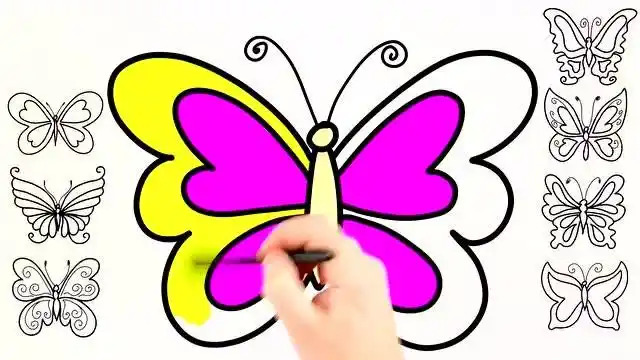 亲子简笔画如何绘制可爱的彩色蝴蝶并涂上你喜欢的颜色