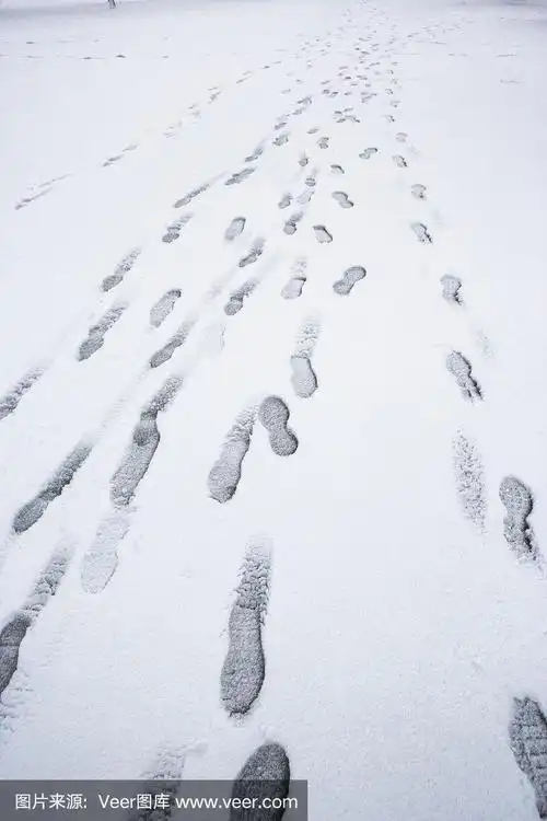 雪地里的脚印