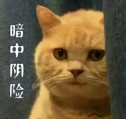 暗中观察什么意思? 这梗代指在别人看不到的情况下观察一些事物