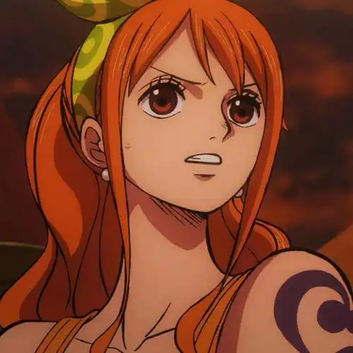 海贼王头像2高清自截