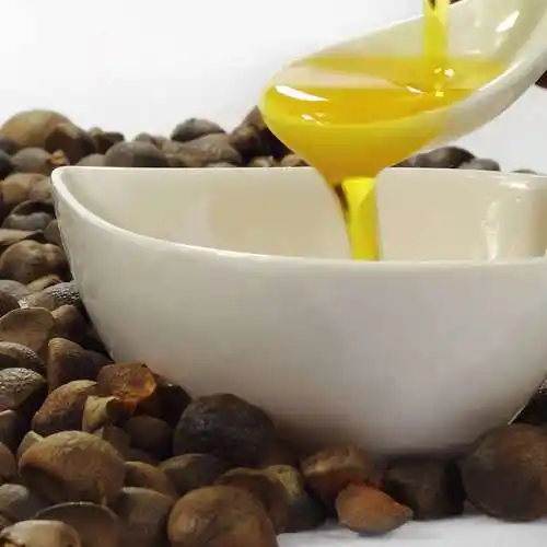 雷叔叔茶油,纯山茶油,油茶籽原油-湖南雷叔叔油茶科技股份有限公司