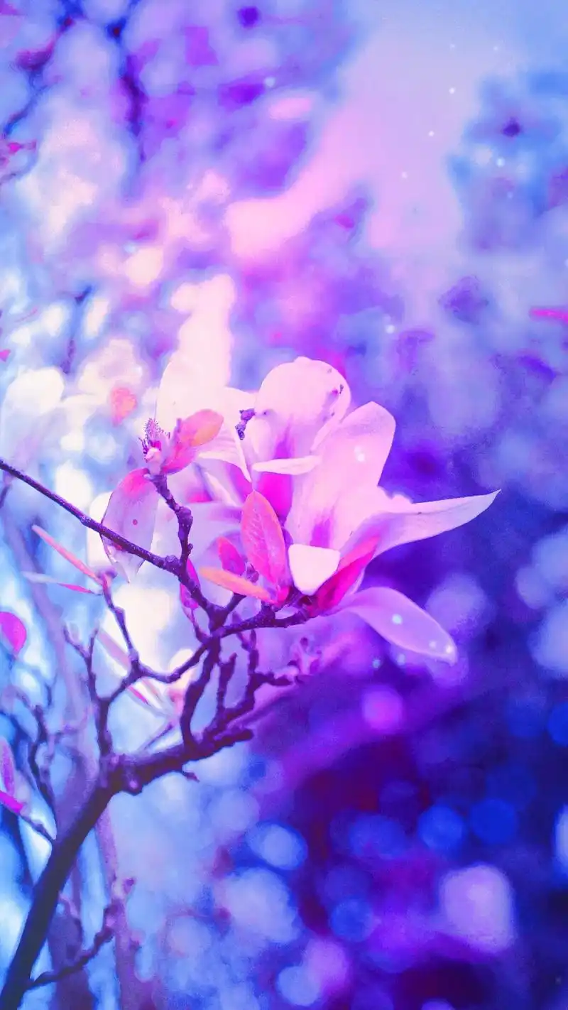 每一个被艾特的人周末愉快,生活也简单,快乐也愉快,心情美美哒 - 抖音