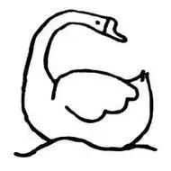 鹅的简笔画倒影