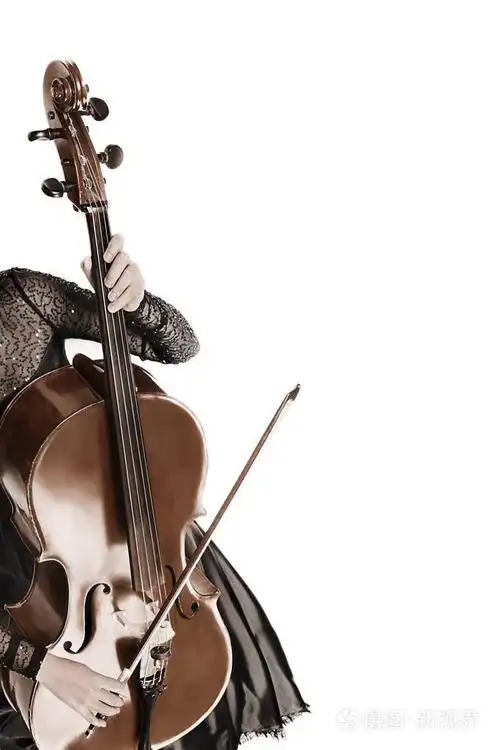 大提琴演奏家演奏大提琴.音乐仪器被隔绝在白色