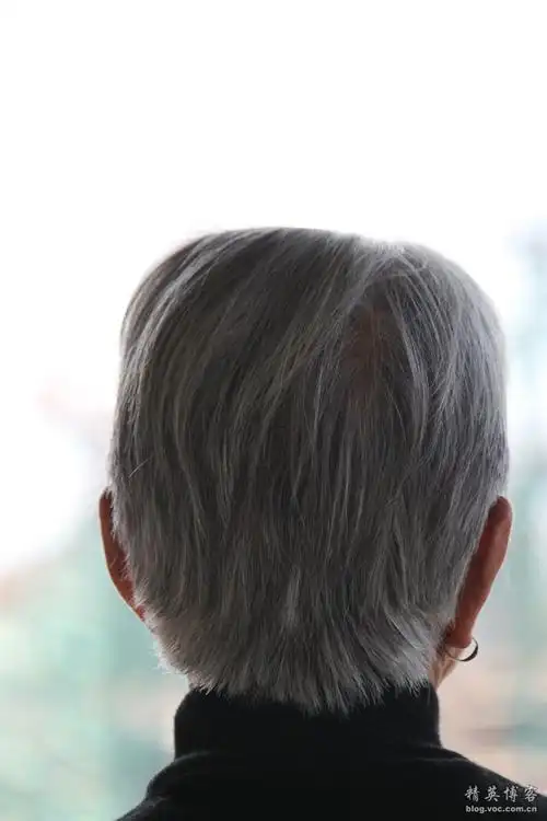 这是母亲的背影,她的满头银丝,一路牵动著我的心.