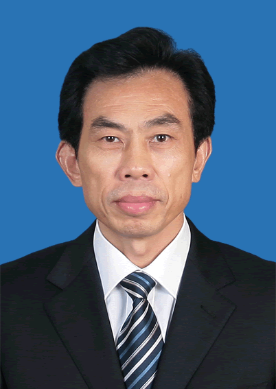 果敢老街卫星地图