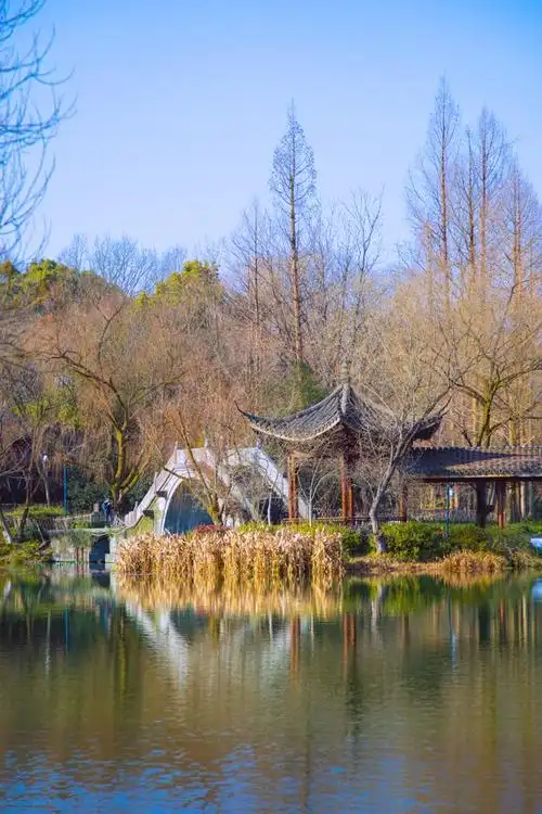 福州,这座历史悠久的城市,以其丰富的文化和美丽的风景吸引着无数游客