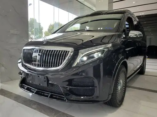 奔驰v260l高顶无隔断商务车行走的陆地宫殿__凤凰网