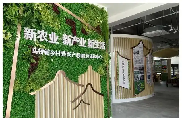 闵行又一座村庄成为乡村振兴示范村,靠的是啥?