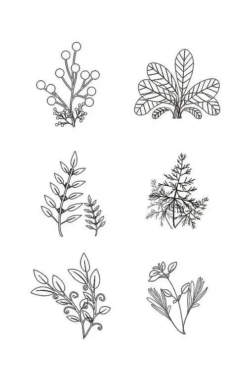手绘线描植物设计素材