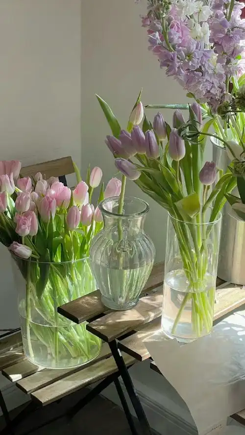 搞笑文案##可爱文案##小清新壁纸##小众图片##朋友圈背景图##表情包