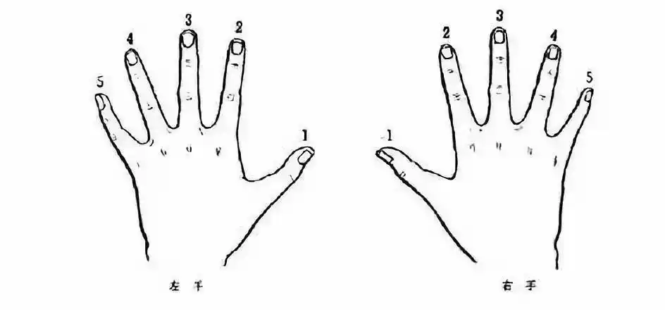 七色光琴行丨钢琴五种基本指法详解_手指头