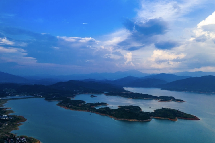 东江鱼冬季开捕24小时游到深圳人餐桌