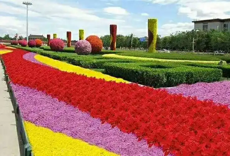 提供各种时令草花,地被植物,水生植物,绿化苗木,各种果树,各种高