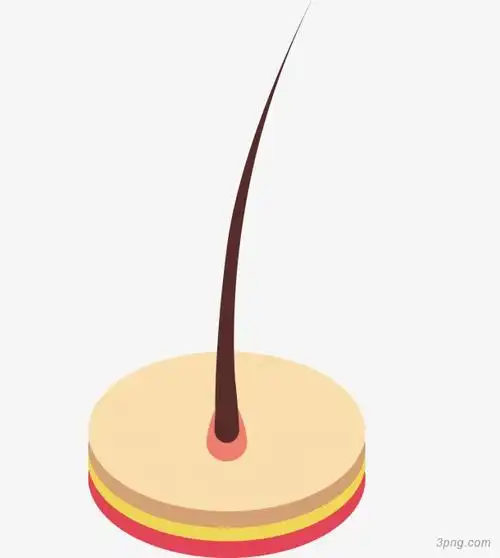 标签:一根头发黑色发根矢量解剖一根一根羽毛一根指头一根红绳手链